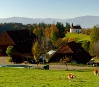 Black Forest